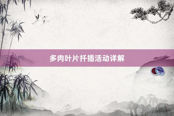 多肉叶片扦插活动详解
